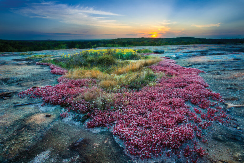 Arabia Mountain